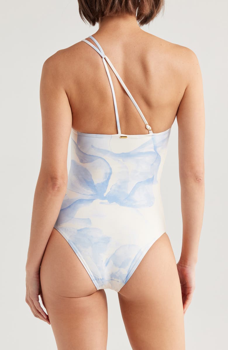 BOAMAR Malbek One-Piece Swimsuit, Alternate, color, Blossom