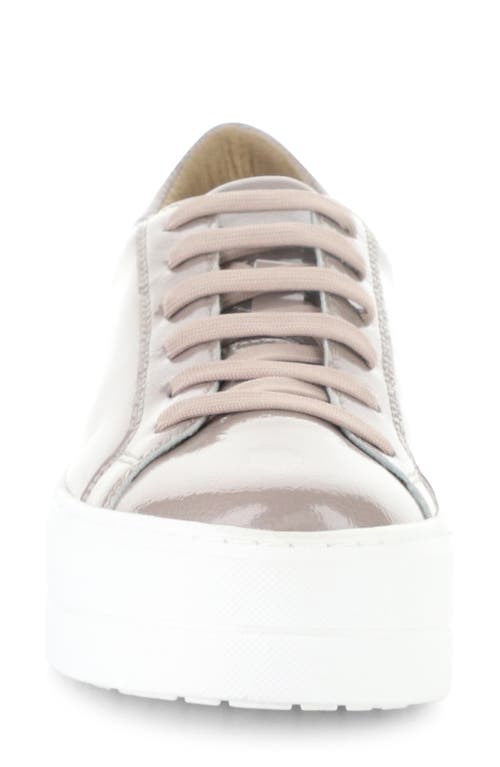 Bos. & Co. Maya Platform Sneaker In Neutral