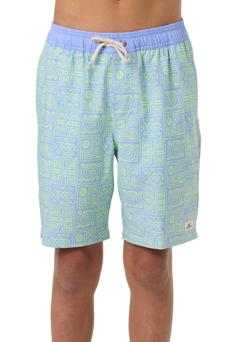 Kids' Hermosa Swim Trunks, Main, color, BLUE JELLY