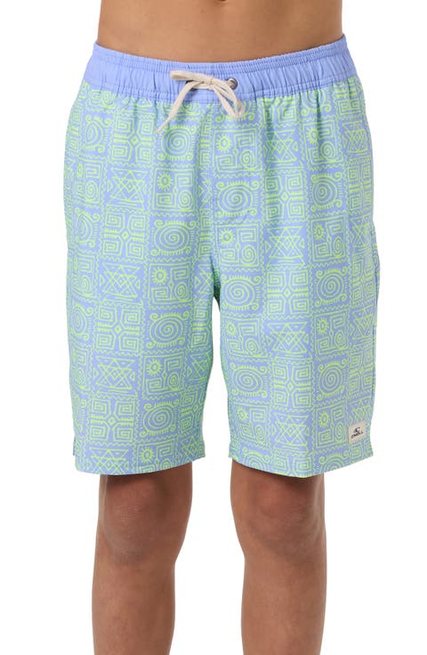 Kids' Hermosa Swim Trunks