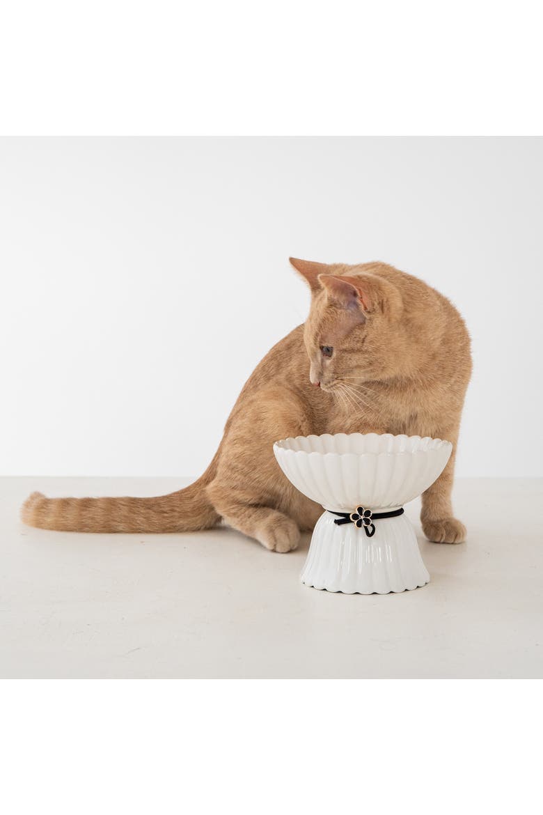 Elevated Ceramic Bowl For Cats 8.45oz Capacity, Alternate, color, White