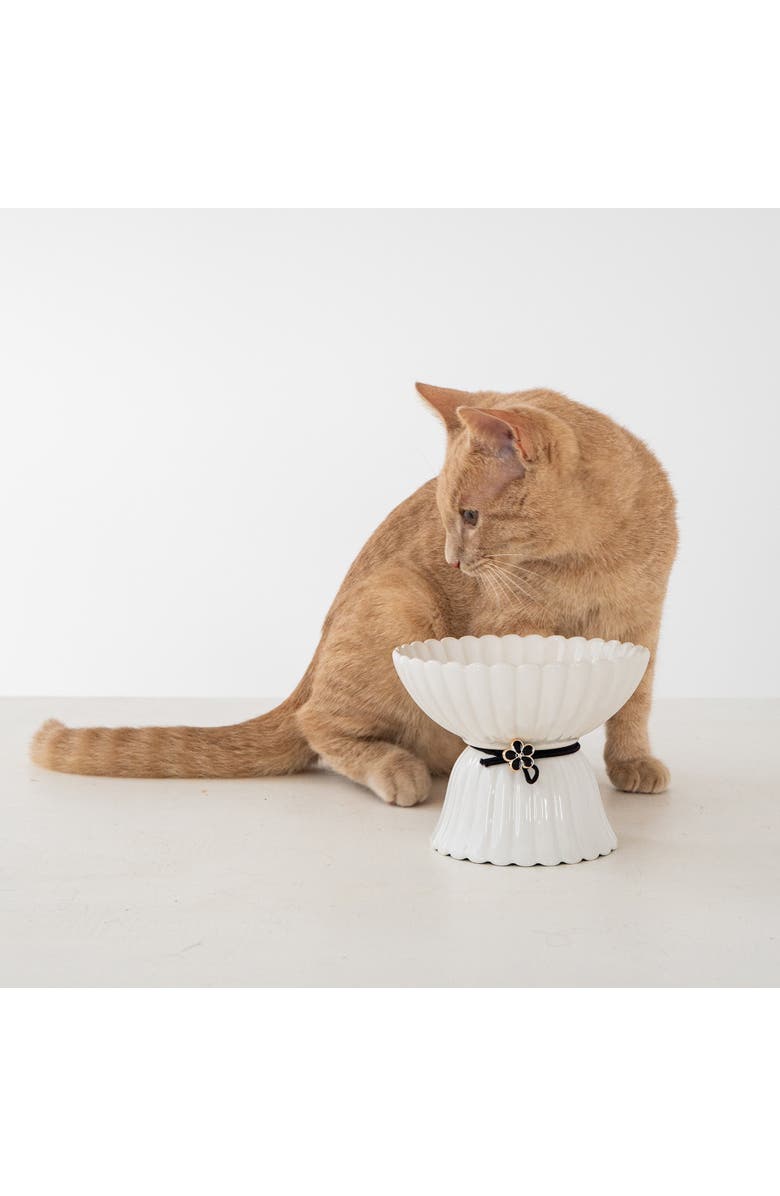 Dexypaws Elevated Ceramic Bowl For Cats 8.45oz Capacity, Alternate, color, 