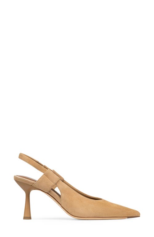 Donald Pliner Pointed Toe Slingback Pump In Brown