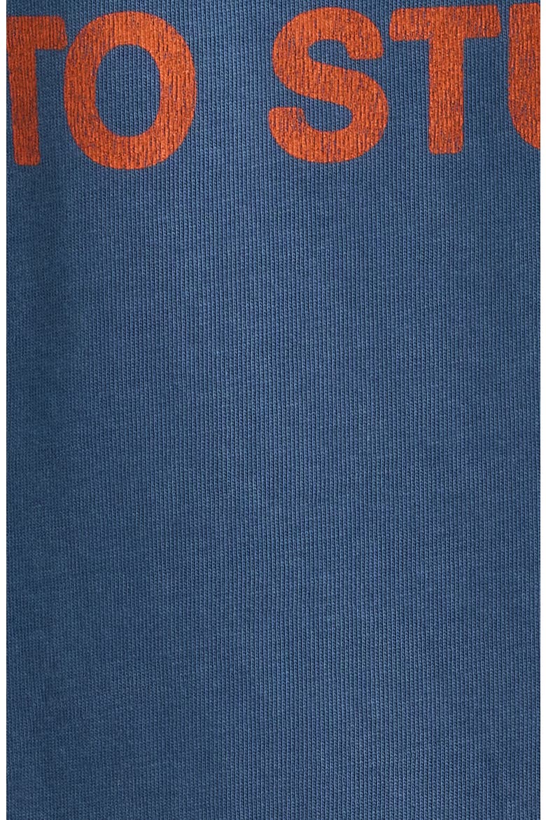 Cynical Stare Dog Graphic T-Shirt, Alternate, color, FADE BLUE