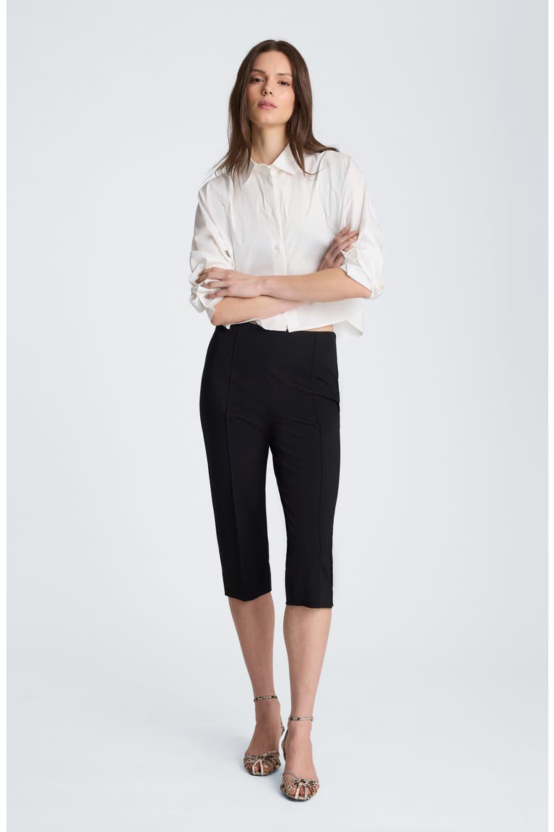 Pintuck Capri Pants, Alternate, color, BLACK