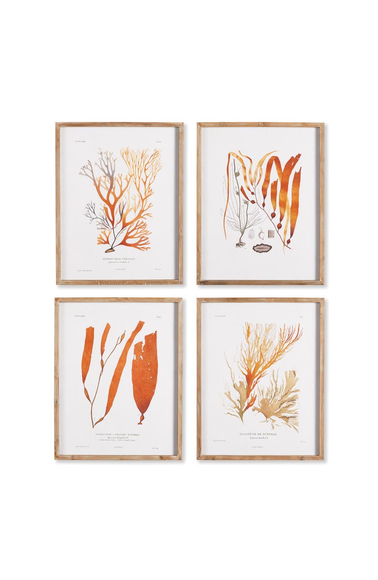 Napa Home & Garden Coral Reef Study Set of 4, Main, color,