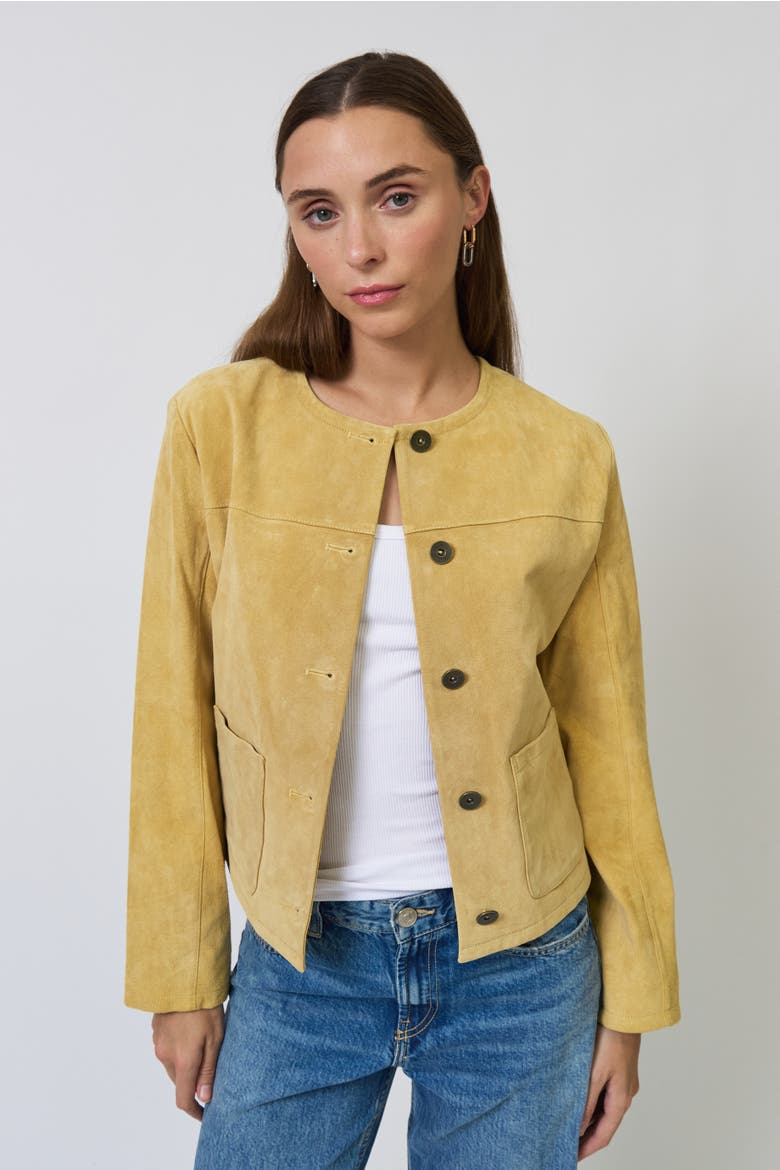 Ophelia Suede Lady Jacket, Main, color, BUTTER