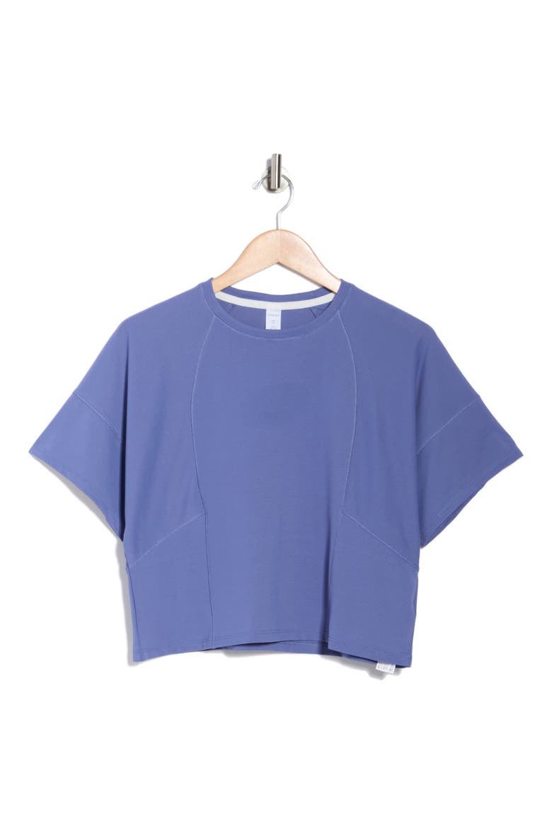 Mabel Crop T-Shirt, Alternate, color, GRAY BLUE