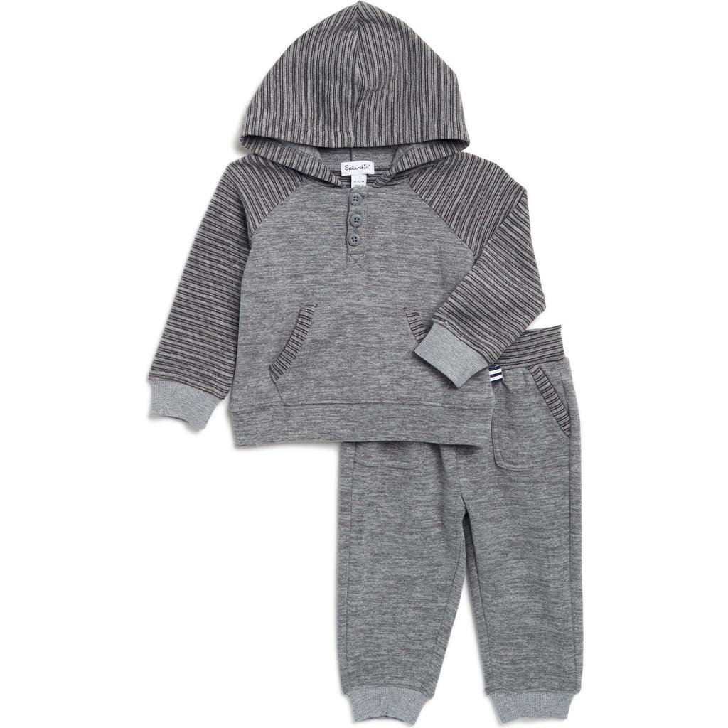 Splendid Cloudline Hoodie & Joggers Set In Chrome Multi