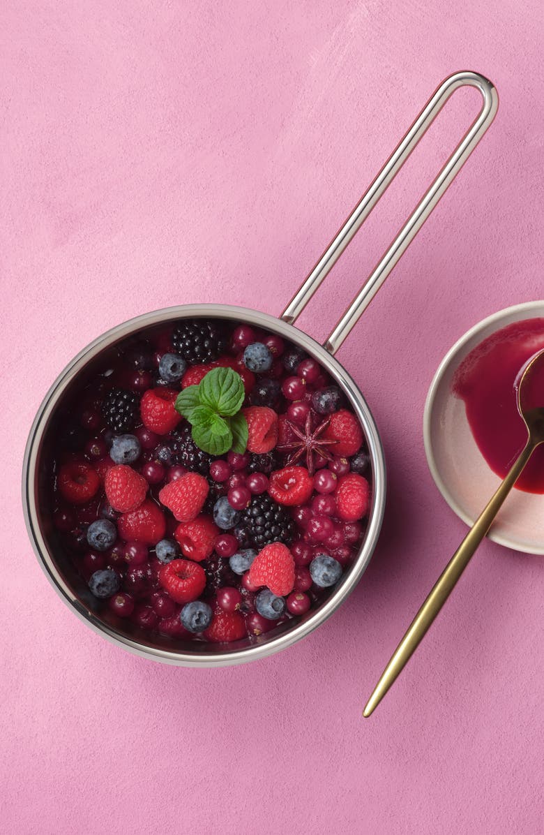 Fissler Pure Collection Stainless Steel Saucepan, Alternate, color,