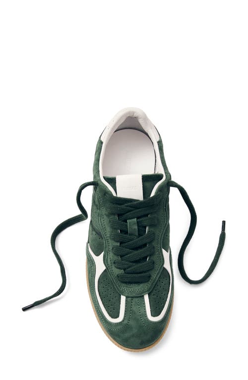 Alohas Tb.490 Suede Low-top Sneakers In Green