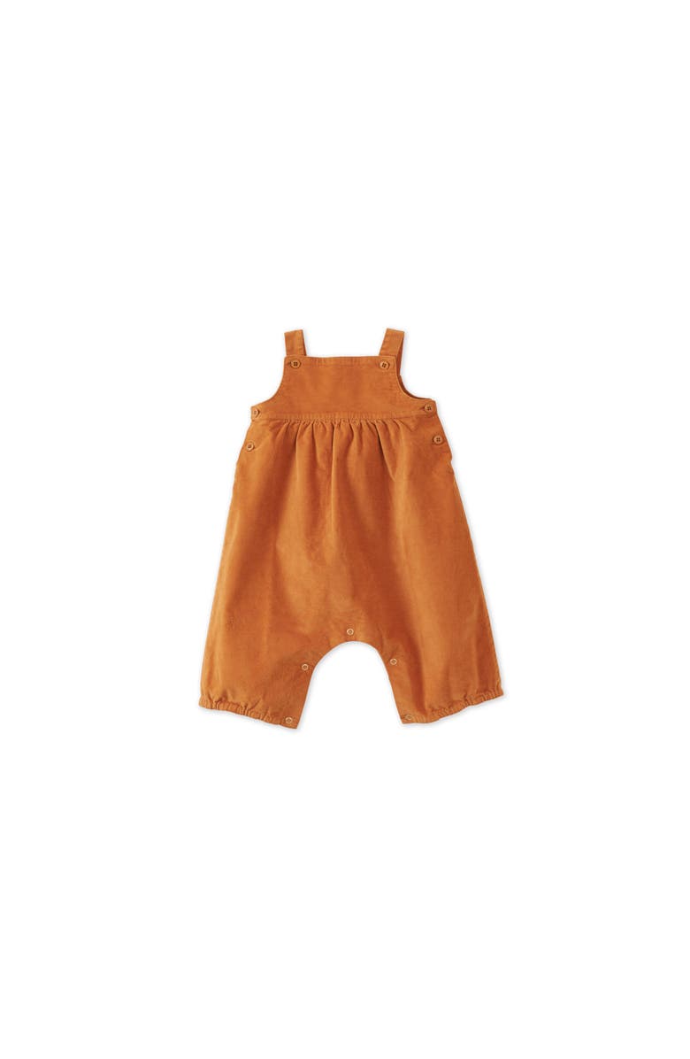 Vild House of Little Organic Cotton Velvet Baby Jumpsuit, Main, color, Raw Sienna