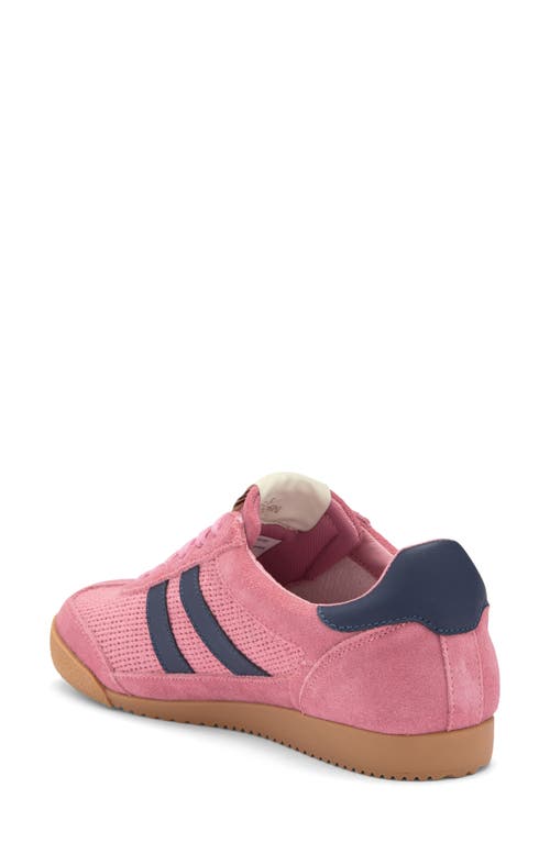 Steve Madden Nirvanna Sneaker In Mauve