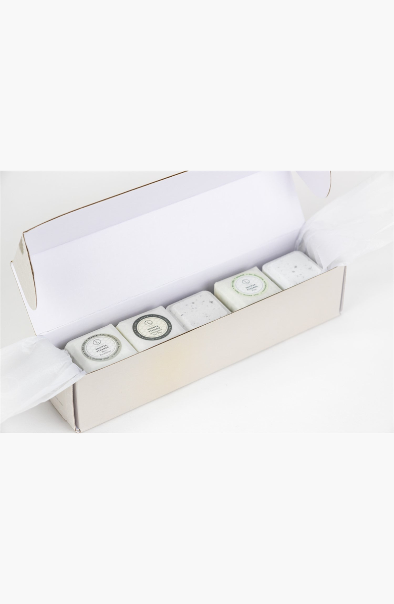 Lizush Earthy Shower Steamer Gift Box, Set of 5 Shower Steamers, Alternate, color, NO COLOR