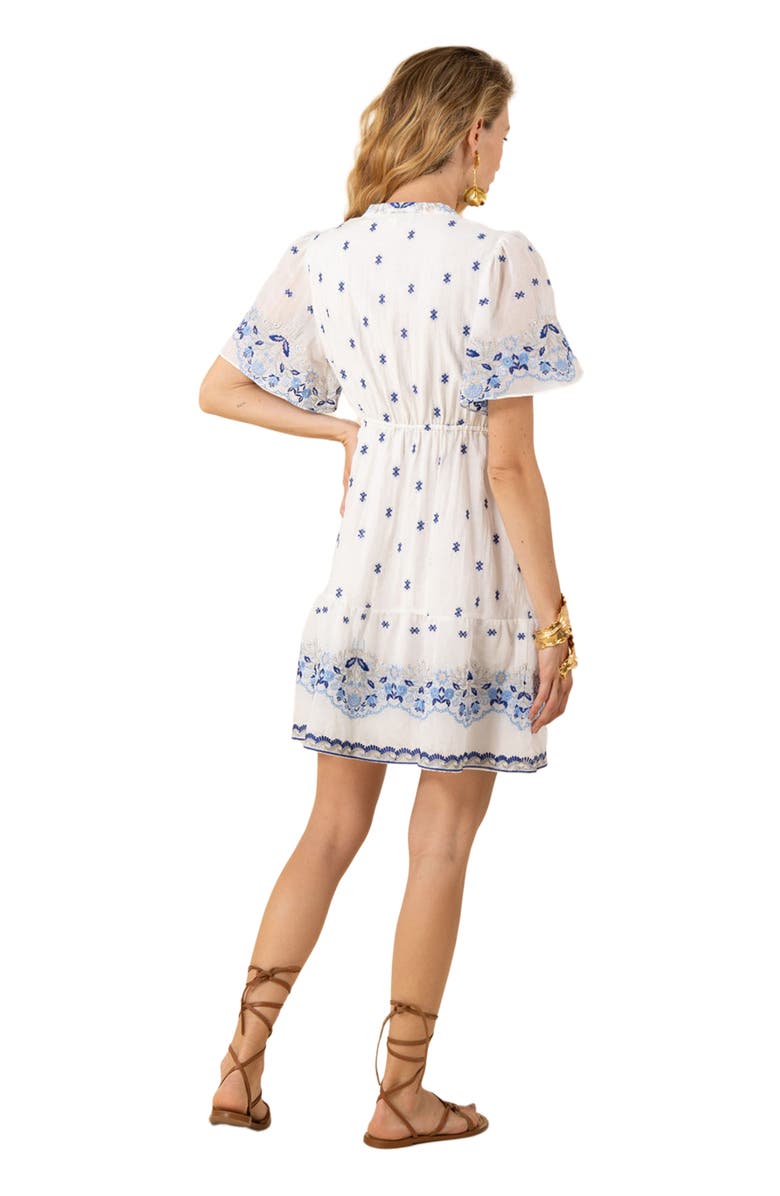 Hale Bob Milan Embroidered Organza Dress, Alternate, color, 