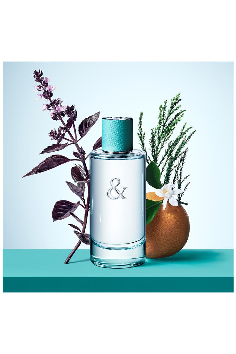 Tiffany & Love Eau de Parfum for Her (Women) | Nordstrom