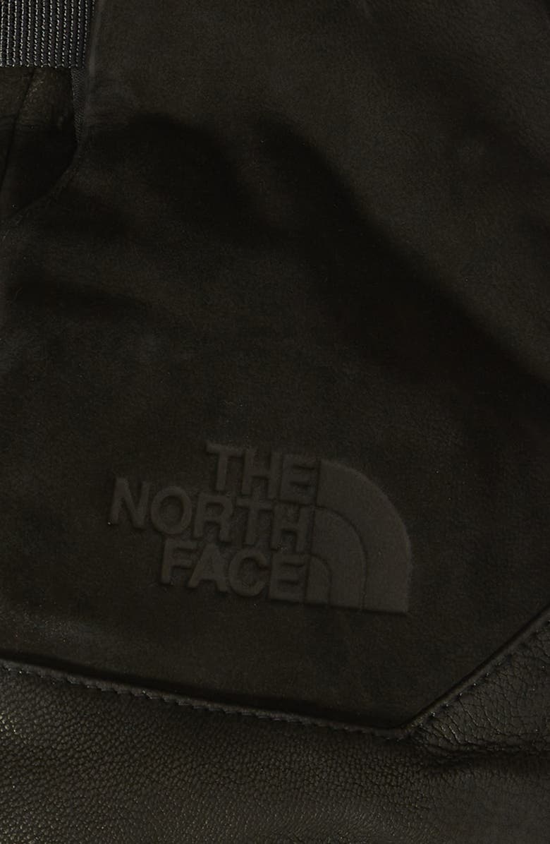 The North Face Solo Leather Gloves, Alternate, color, 