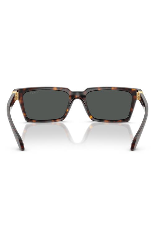 Versace 55mm Rectangular Sunglasses In Havana