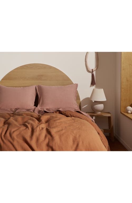 Parachute Set Of 2 Linen Shams In Brown