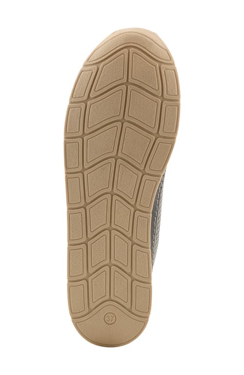 Spring Step Breen Sneaker In Gray