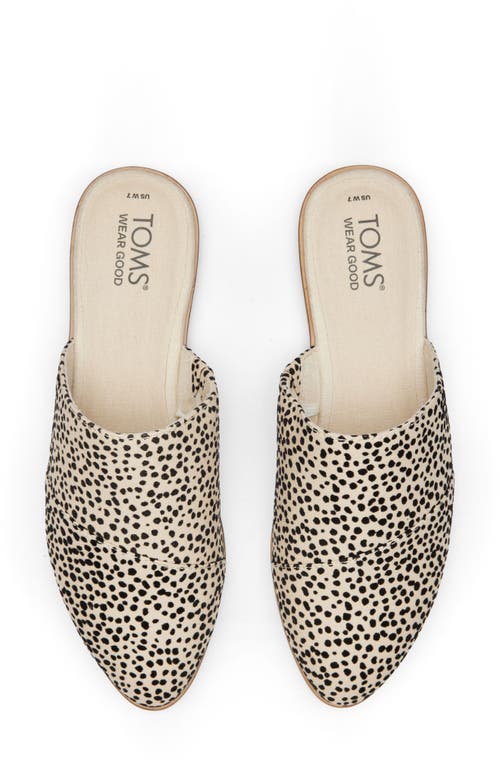 Toms Jade Mule