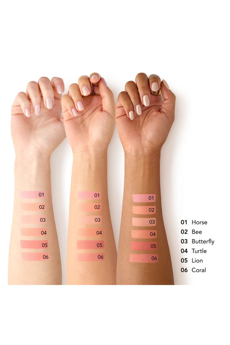 Cheek Shade Blush, Alternate, color, LION