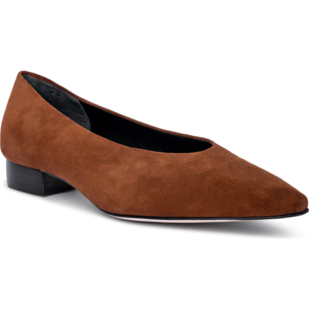 L'agence Suzanne Pointed Toe Flat In Multi