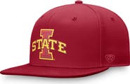 TOP OF THE WORLD Men's Top of the World Cardinal Iowa State Cyclones Fundamental Snapback Hat
