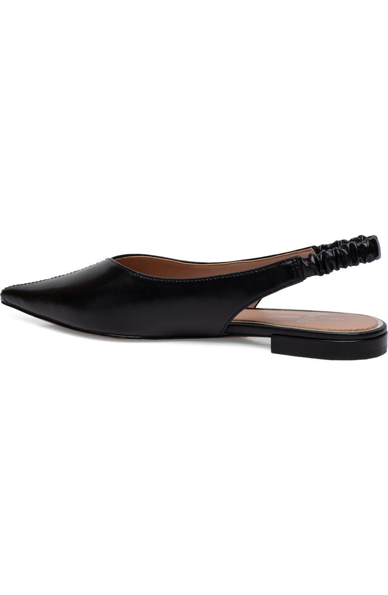 Linea Paolo Diana Slingback Pointed Toe Flat, Alternate, color,