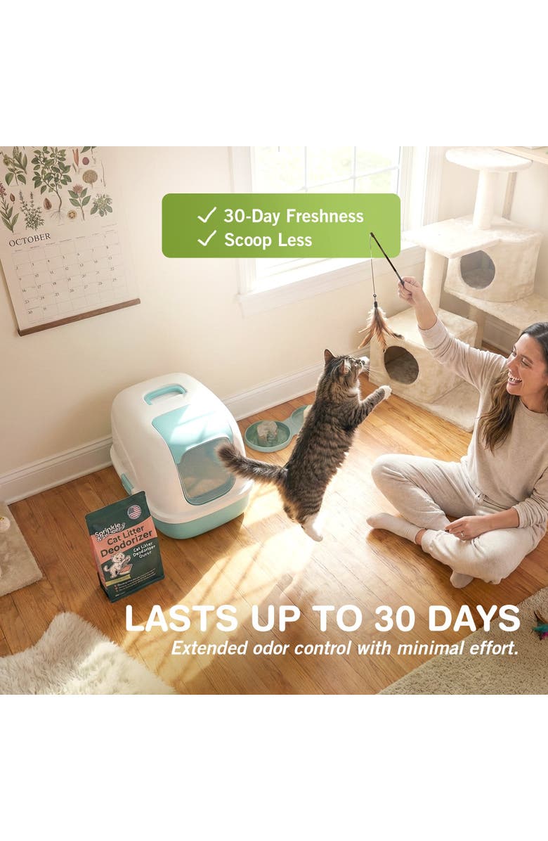 Sprinkle & Sweep Litter Box Deodorizer 4 Pack, 8oz Bags, Alternate, color, Green