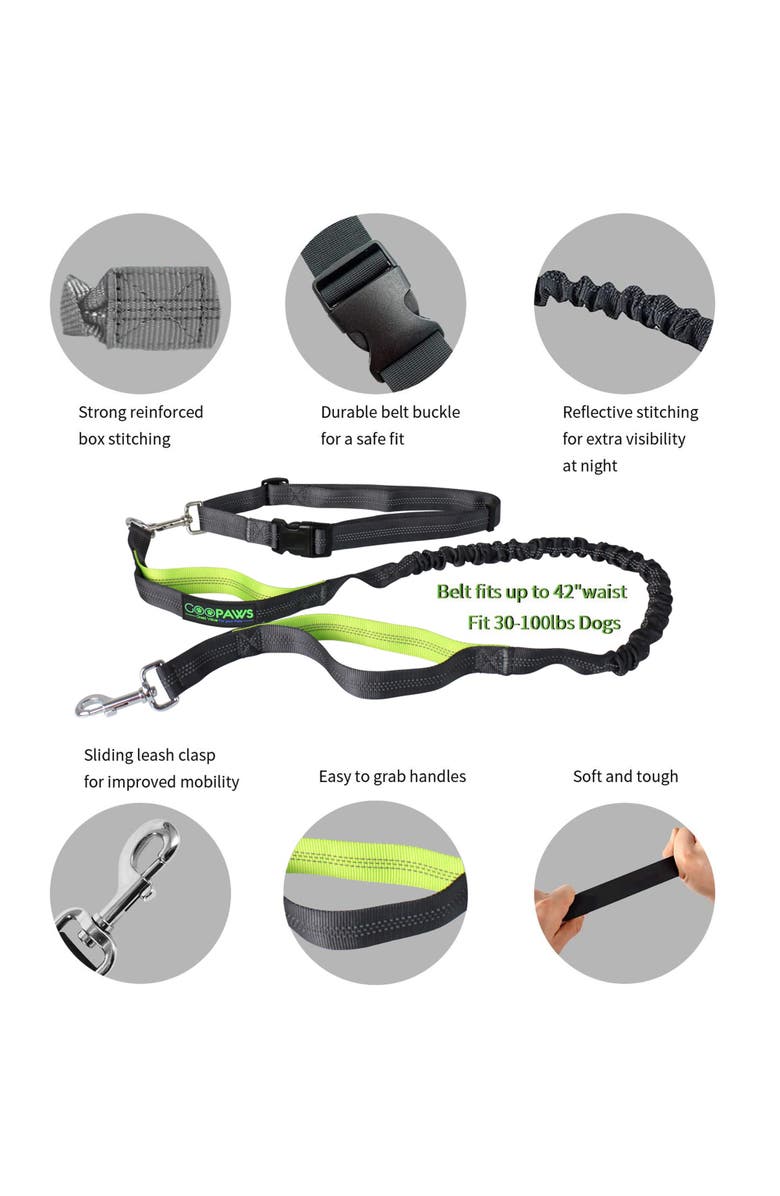 JESPET Hands Free Bungee Dog Leash Green, Medlg Dogs, Up To 150Lb, Alternate, color, Green