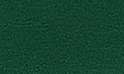 Standards & Practices Batwing Long Sleeve Tunic Top In Green