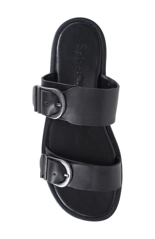 Splendid Women's Farrin Slip On Buckled Slide Sandals In Black