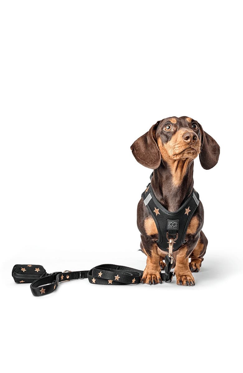 Dogistry Waste Bag Holder, Alternate, color, Rockstar
