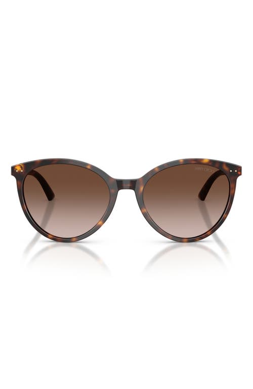 Jimmy Choo 53mm Phantos Sunglasses In Havana/gradient Brown