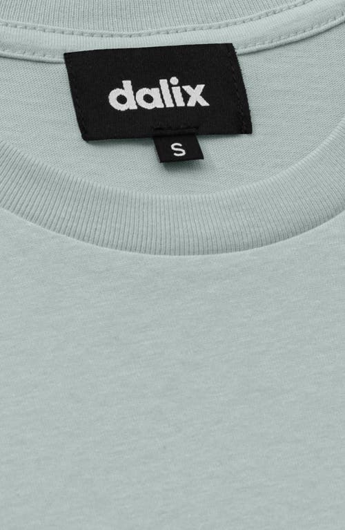 Dalix Womens Heartly Ghost Lightweight Everyday Tee In Gray