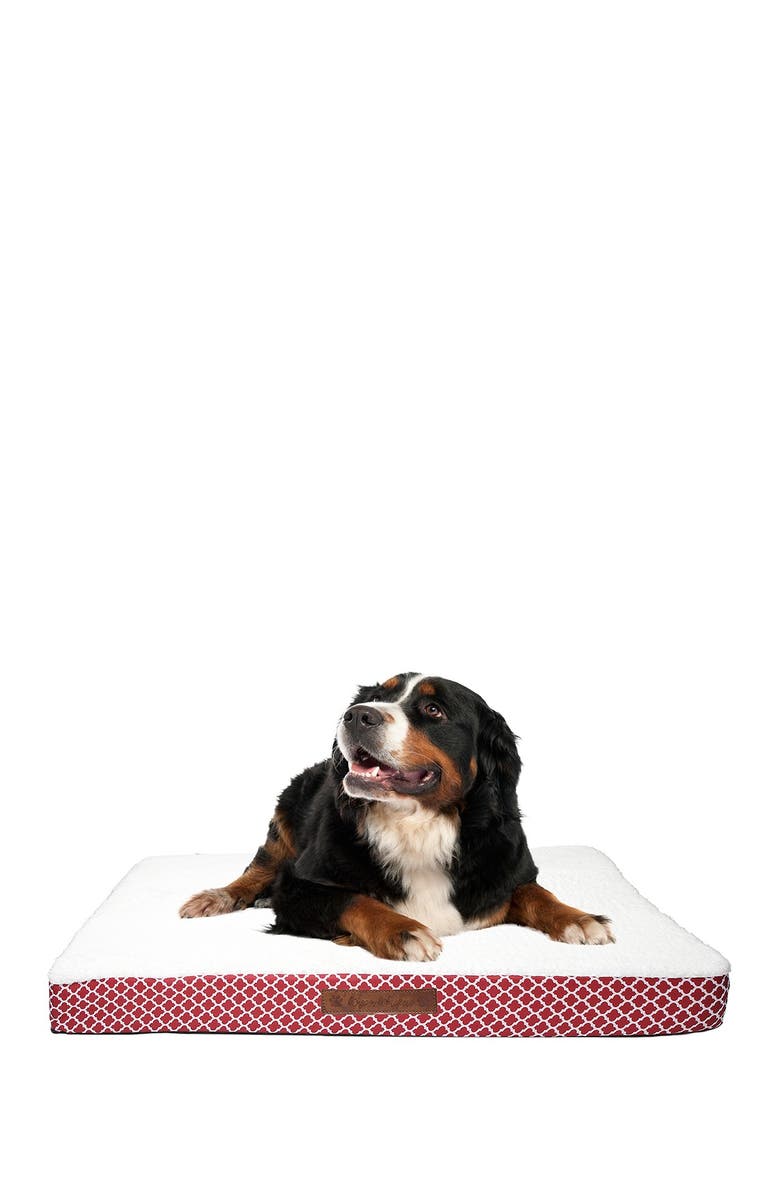 Duck River Textile Cezebel Trellis Large Orthopedic Memory Foam Pet Bed, Alternate, color, 