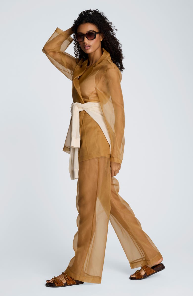 Kenneth Cole High Waist Sheer Wide Leg pants, Alternate, color, Mesquite