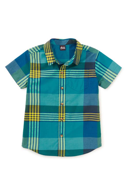 Tea Collection Plaid Button Up Woven Shirt In Amazonian Plaid