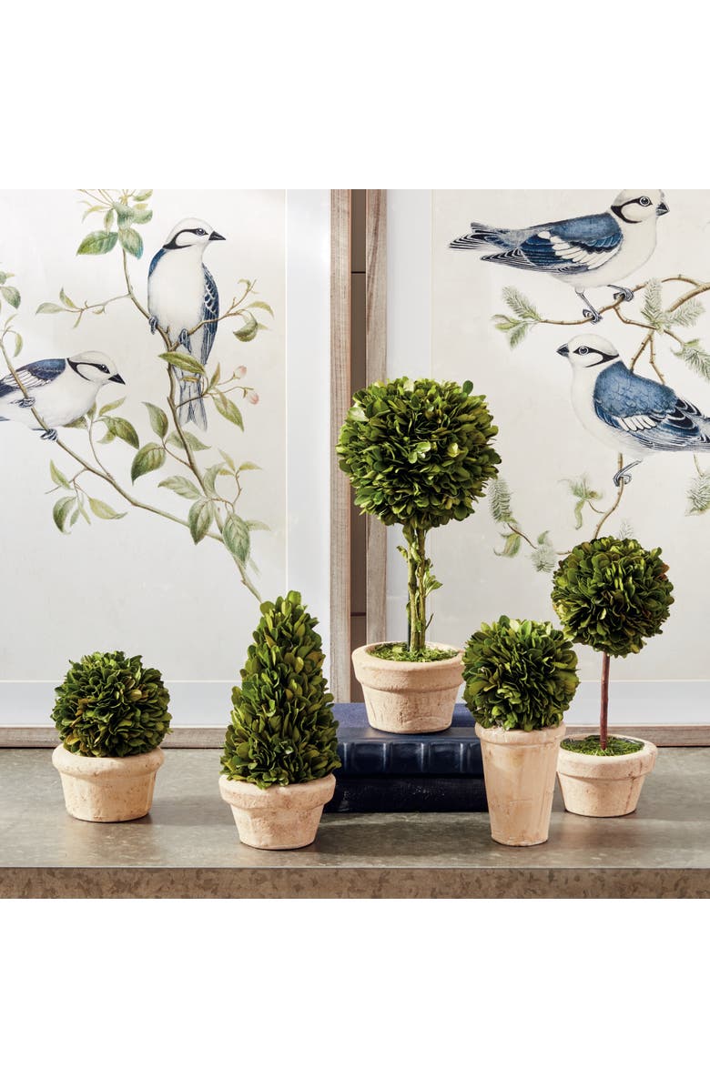 Napa Home & Garden Boxwood Topiaries Faux (Fake) In Pots Set of 5, Alternate, color,