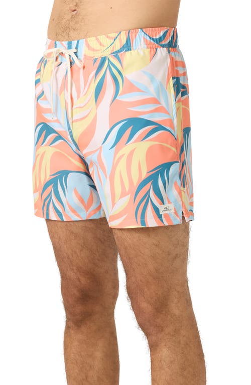 O'neill Hermosa Volley Swim Trunks In Multi