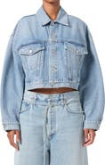 AGOLDE Palmer Crop Denim Jacket