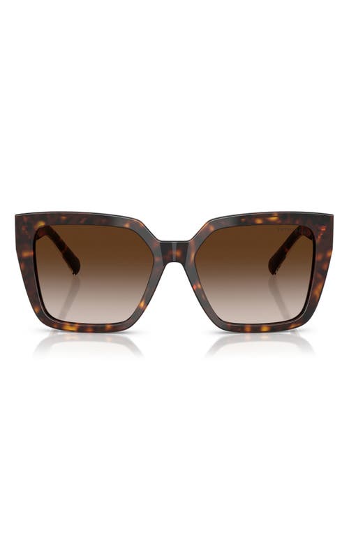 Tiffany & Co . 55mm Gradient Square Sunglasses In Brown