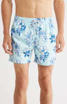 Vintage Summer Volley Swim Shorts
