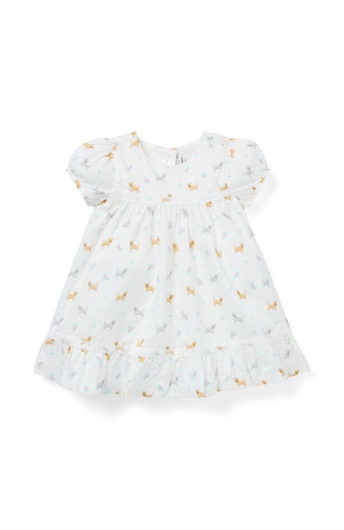 Janie And Jack Baby Dog Friends Lace Trim Dress In White
