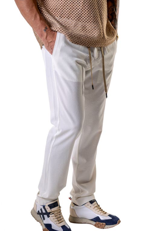 Maceoo Everyday Ebony Slim Fit Pants In White