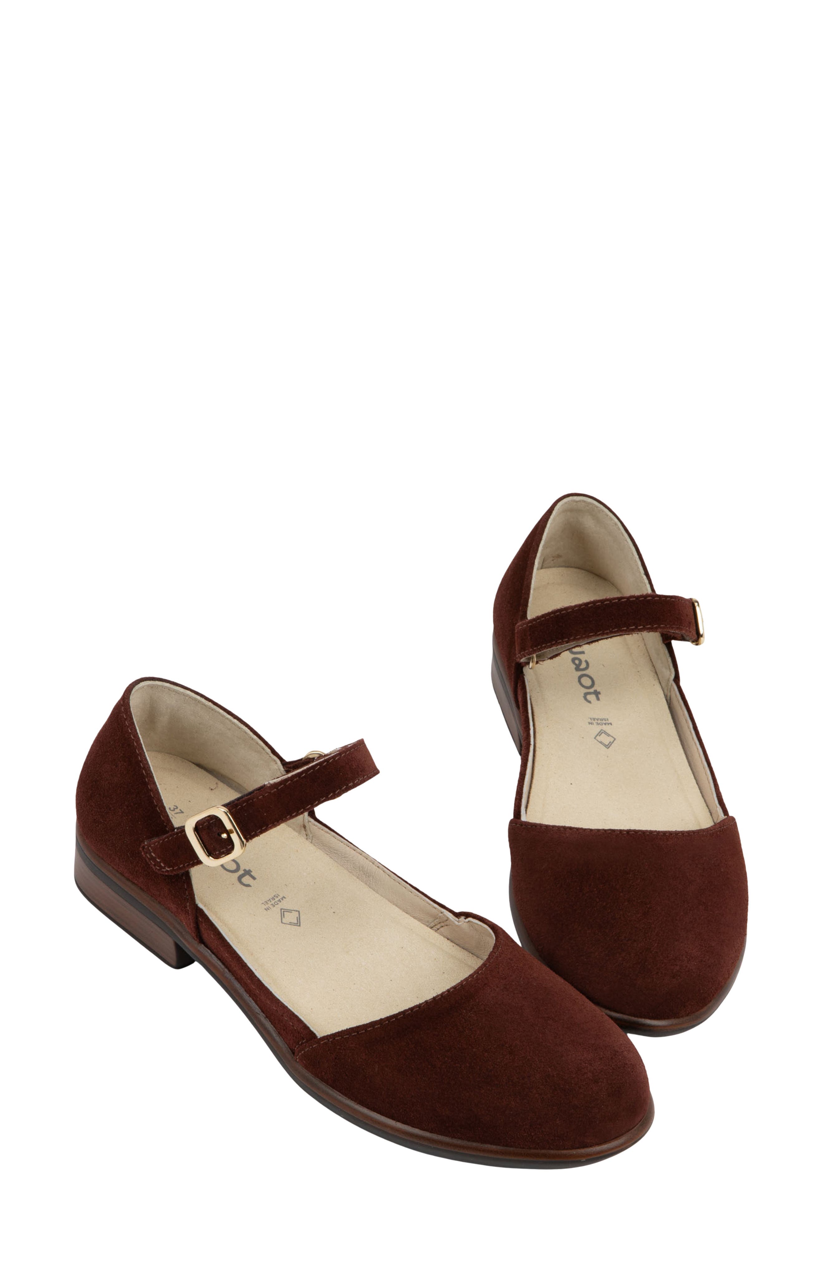 Aniham Ankle Strap Flat, Alternate, color, CABERNET SUEDE