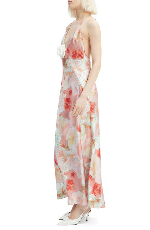 Shop Bardot Aradia Rosette Floral Plunge Halter Gown In Peach Floral
