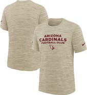 Nike Youth Nike Natural Arizona Cardinals Rivalries Collection Sideline Velocity Dri-FIT T-Shirt