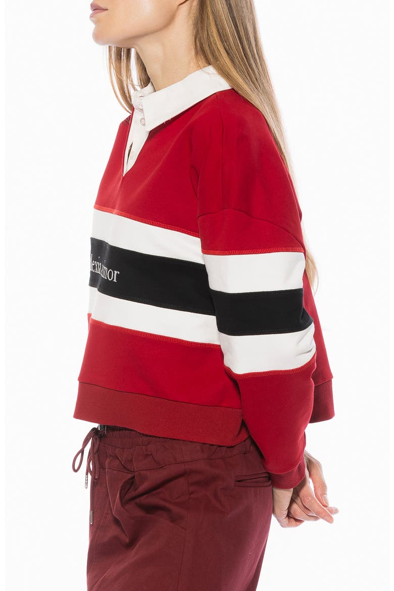 Lucian Branded Rugby Polo Sweatshirt, Alternate, color, BURGUNDY MULTI